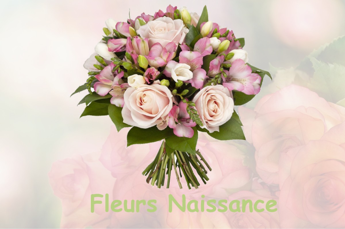 fleurs naissance BIEF-DES-MAISONS