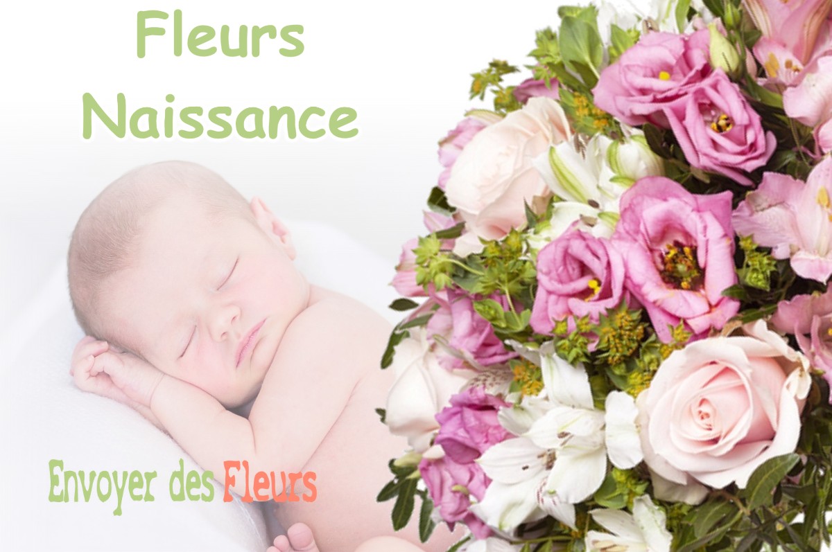 lIVRAISON FLEURS NAISSANCE à BIEF-DES-MAISONS